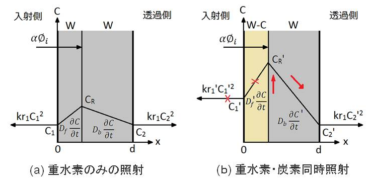 D+C Permeation